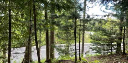 4114 Burns, Sandpoint
