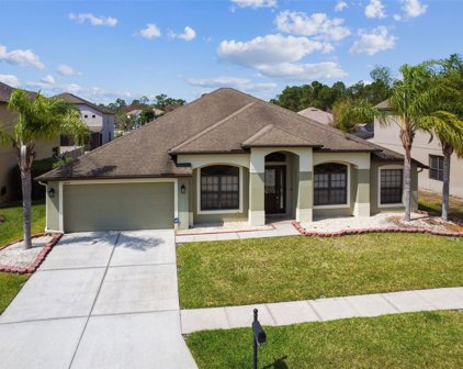 10741 Rain Lilly Pass, Land O' Lakes
