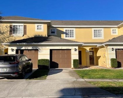 20478 Needletree Drive, Tampa