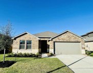 4940 Blue Beetle Ridge Drive, Katy image