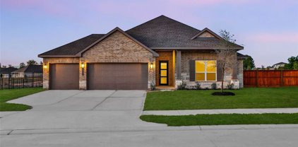 12207 Grey Plover Court, Conroe