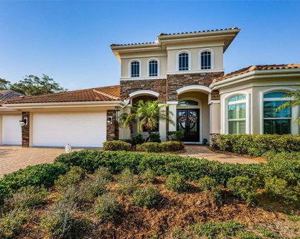 3006 Willow Oaks Way, Clearwater