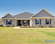 26121 Woodfield Drive, Athens image
