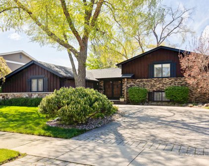 1607 E Suffield Drive, Arlington Heights