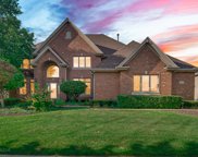 10648 Olde Mill Drive, Orland Park image