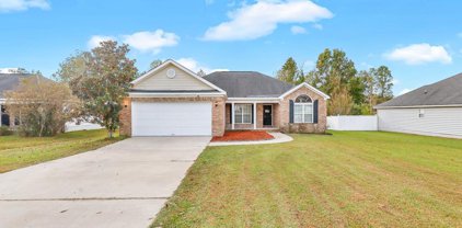 405 Tabby Lane, Glennville