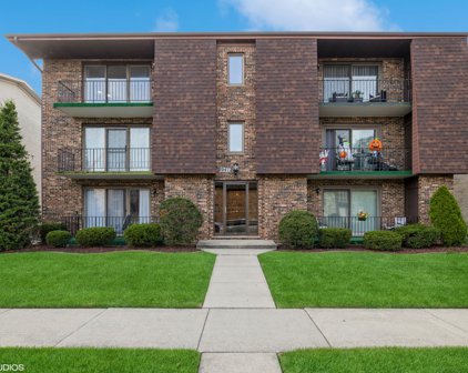 10412 S Komensky Avenue Unit #3S, Oak Lawn