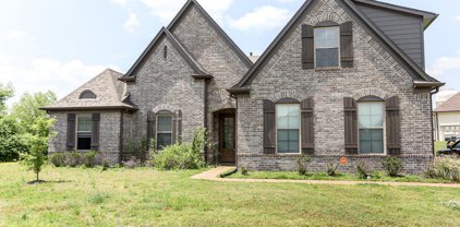 3046 Pinetree Loop North Cove, Southaven