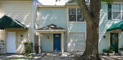 13811 Fletchers Mill Drive, Tampa