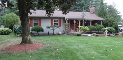 36 Colony, Westfield