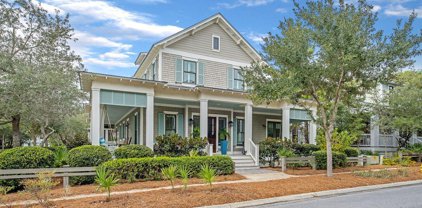 198 Needlerush Drive, Santa Rosa Beach