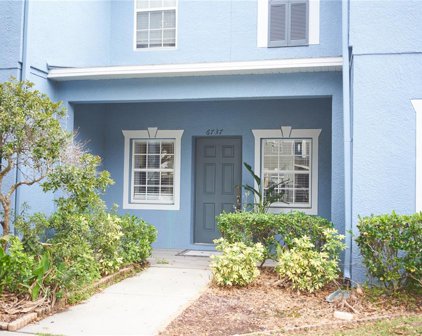 6737 Lake Rochester Lane, Gibsonton