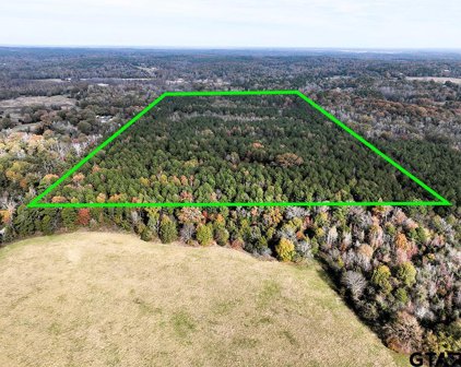 TBD CR 4583, Winnsboro