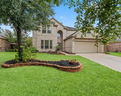 3618 Bluebonnet Trace Drive, Spring