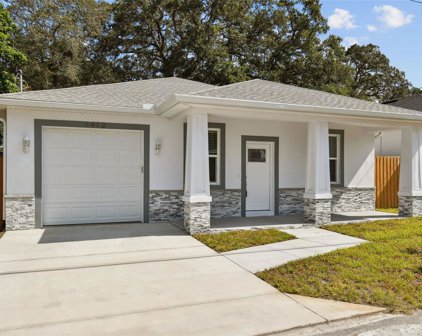 2412 E Chelsea Street, Tampa