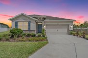 31662 Tansy Bend, Wesley Chapel image