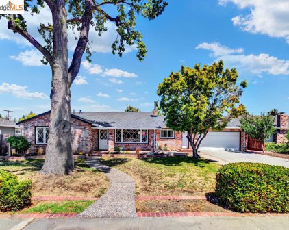 946 N Central Ave, Campbell