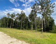 TBD Lot 25 Rolling Pines Drive, Livingston image