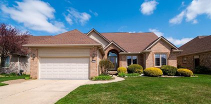 34246 PIONEER, Fraser
