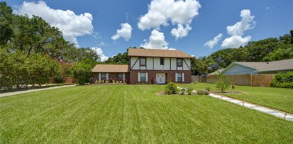 4507 Old Orchard Drive, Tampa