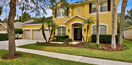 16113 Brecon Palms Place, Tampa