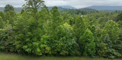 Lot 5 Reservoir View  Dr, Pittsville