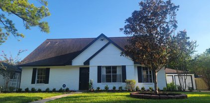 12507 Whittington Drive, Houston