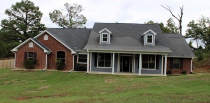 110 County Road 3546, Hawkins