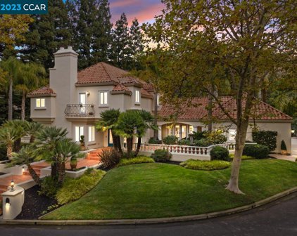 117 Pepperwood Court, Danville