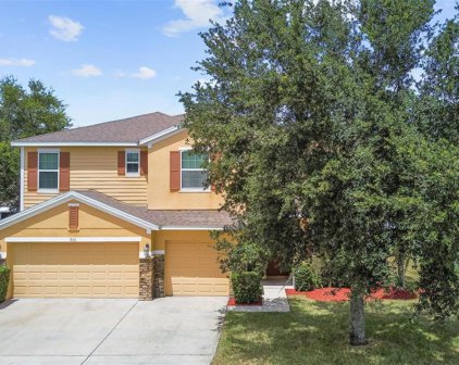 930 Fallbrooke Avenue, Deltona