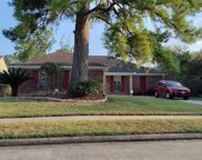 11211 Willow Field Drive, Cypress image