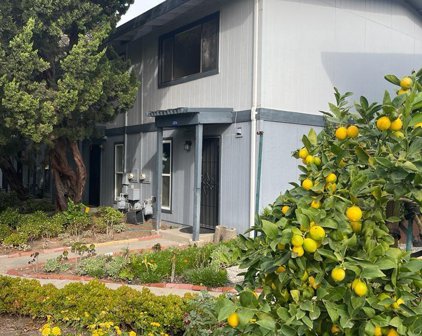 1374 Tree Garden Pl, Concord