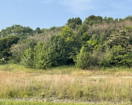 Tr 3A1 3A2 Springfield Rd, Bardstown