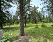 68 Wanawish Loop, Cle Elum image