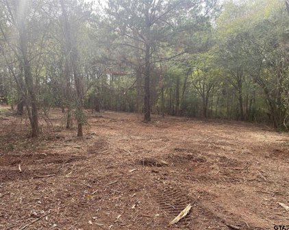21817 C R 2160, Troup