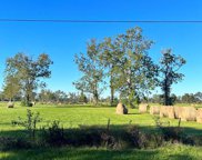 TBD County Road 2089, Liberty image