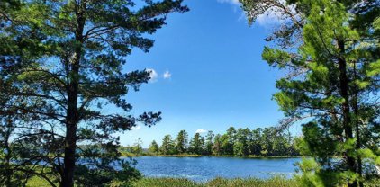 XXXXX Liedlwood Lane, Pequot Lakes