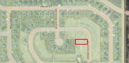 276 Wood Duck Lane, Baldwin