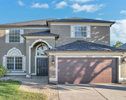 18512 Merseyside Loop, Land O' Lakes