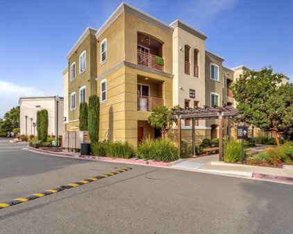 4736 Norris Canyon Road Unit #101, San Ramon