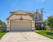15446 Meandering Post Trail, Houston image