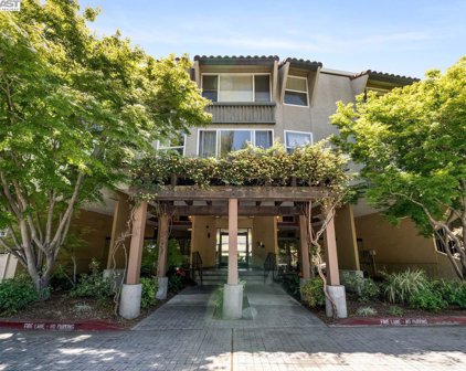 1087 Murrieta Blvd Unit 138, Livermore