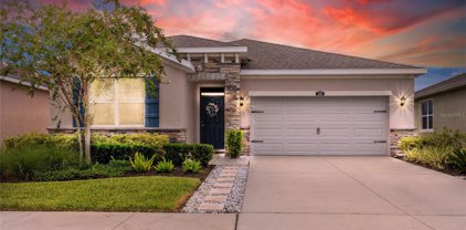 1135 Pipestone Place, Wesley Chapel