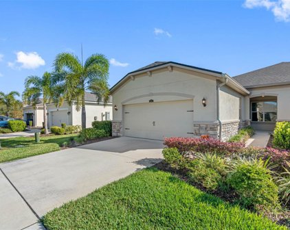11608 Weathered Felling Drive, Riverview