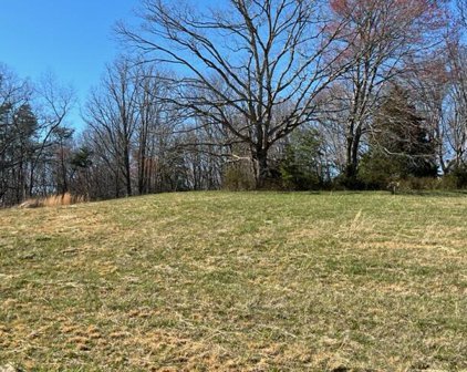 Lot 2 Virginia Ridge  Dr, Hardy