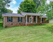 3133 Nickel Point Drive, Maryville image