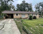 413 Redbud Ln, Mt Pleasant image