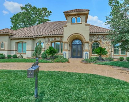 58 Shadow Creek Ridge Drive, Spring
