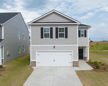 1166 BUTTON BUCK Lane, Grovetown