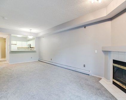 7420 Edinborough Way Unit #6103, Edina